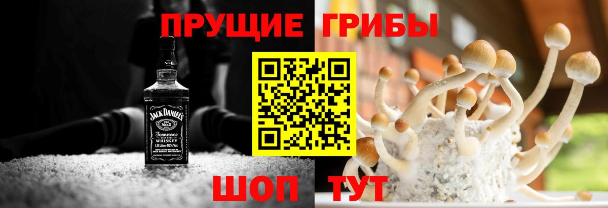 наркошоп  Псилоцибиновые грибы Cubensis  Вход с VPN  Галлюциногенные грибы Magic Shrooms  Димитровград 
